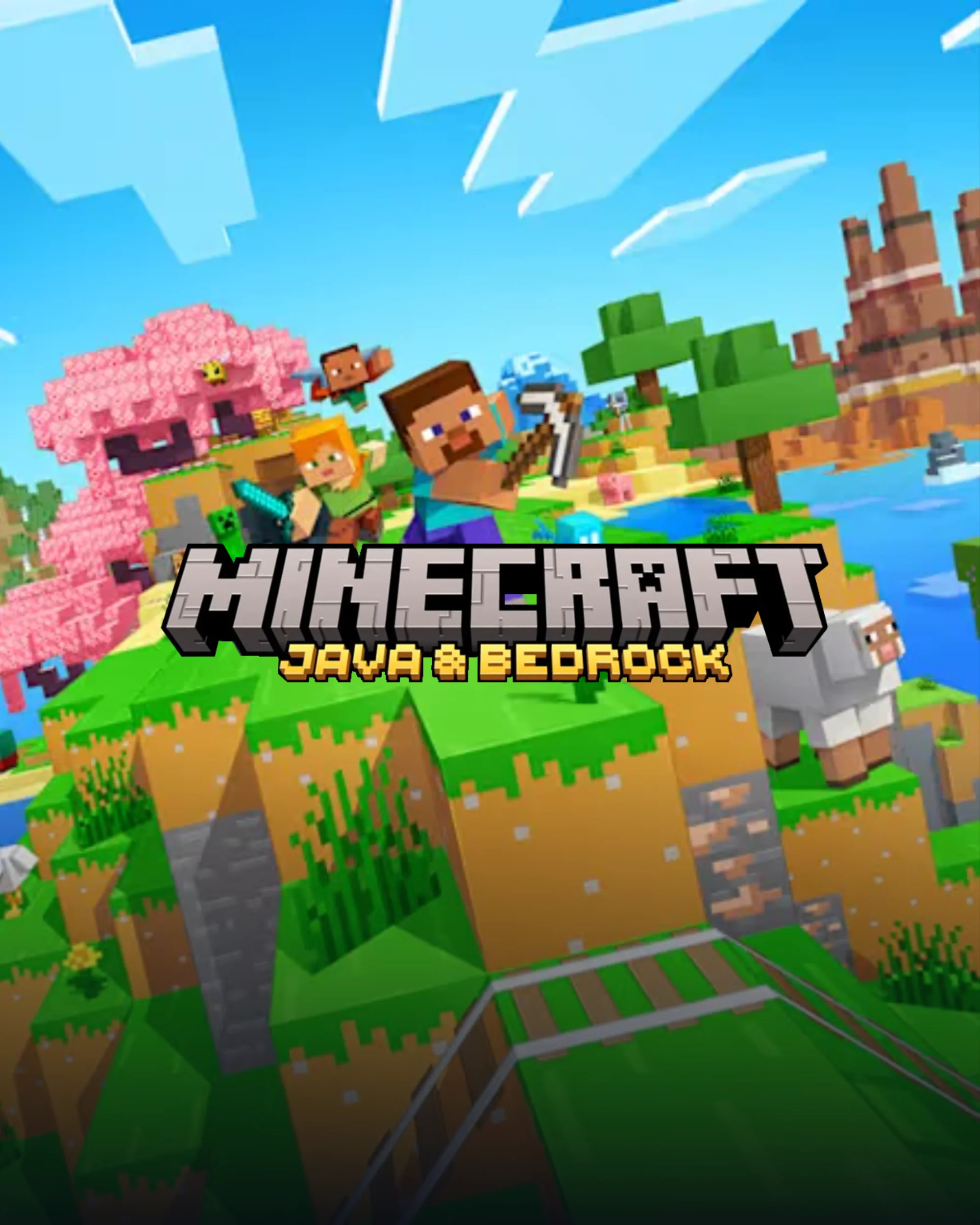 Minecraft java & bedrock edition