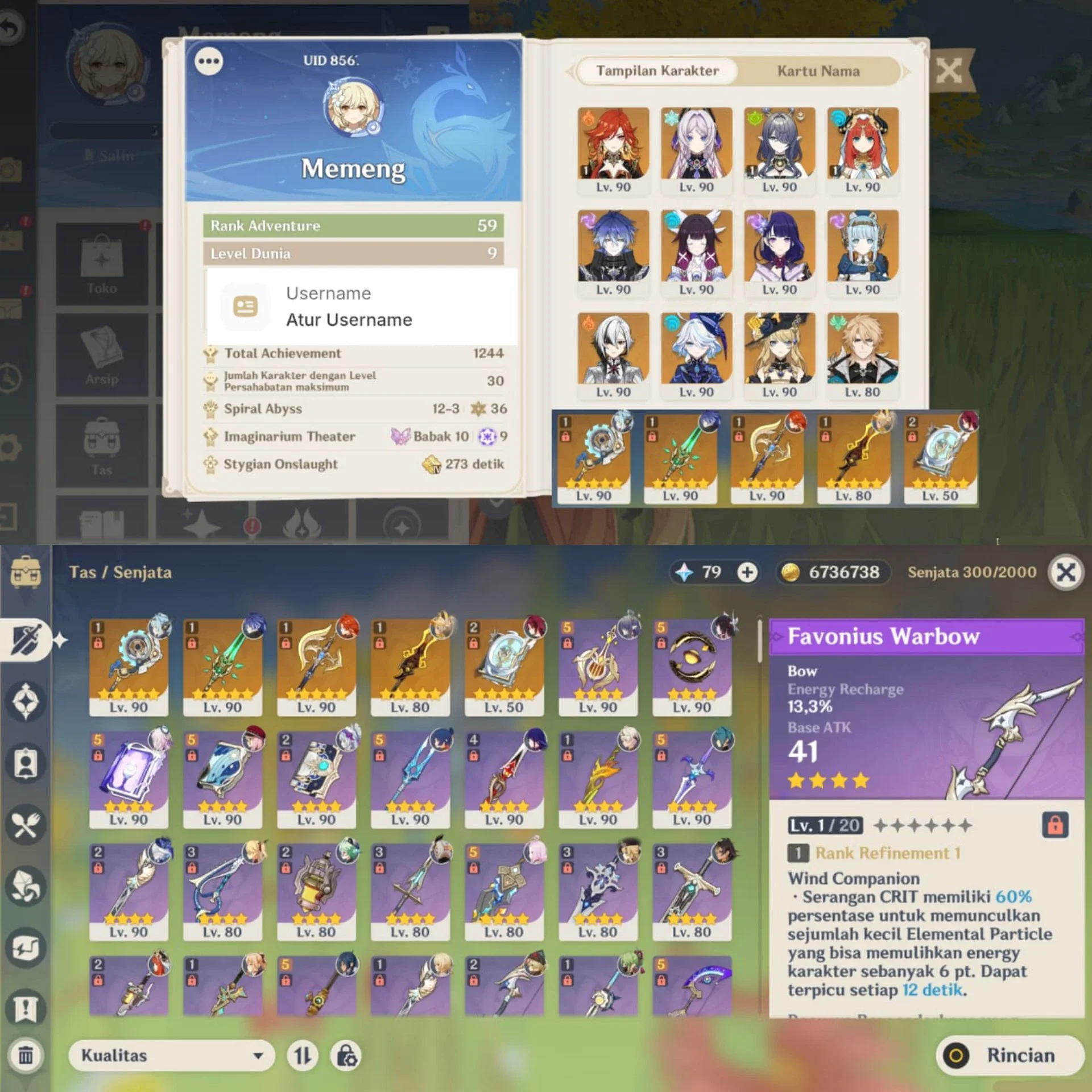 FLINS PREMIUM TEAM + NGAME ACC (UID 85)