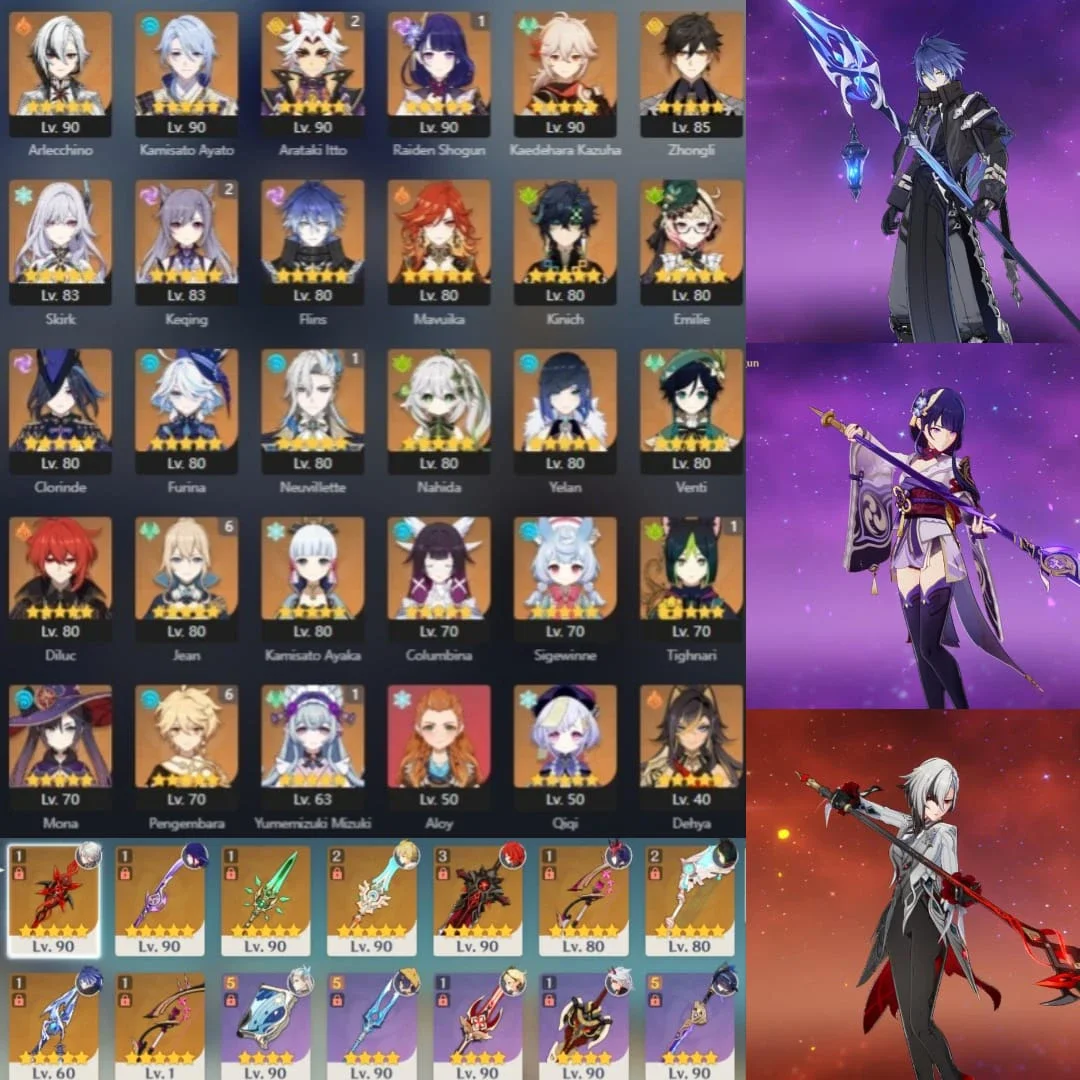 FLINS SIGN, RAIDEN SIGN, ARLE SIGN, KINICH, ITTO C2, RAIDEN C1
