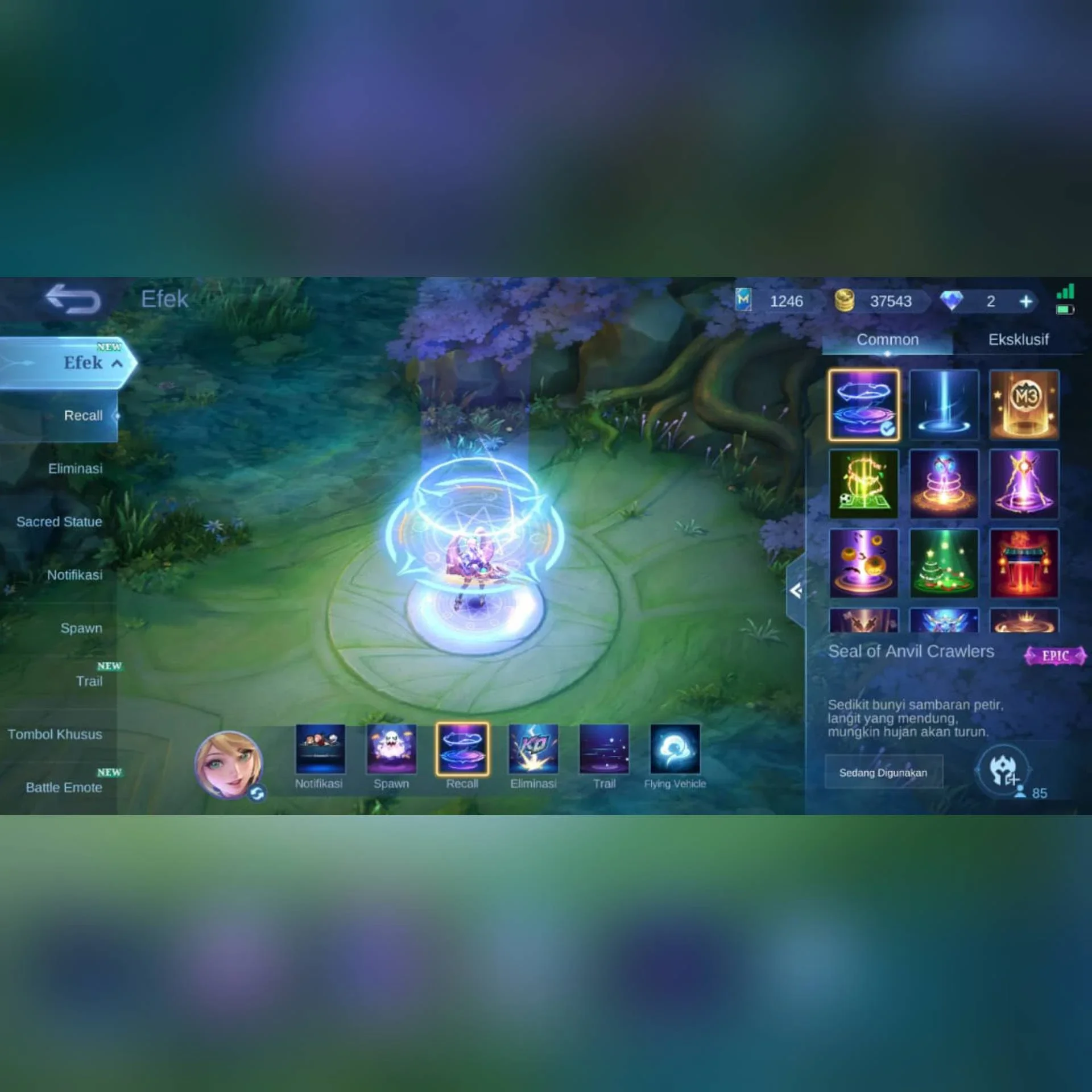 AKUN ML BUAT PUSH WR)