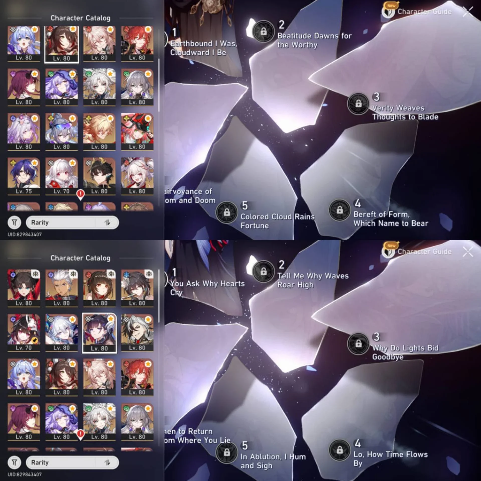 ELATION PREMIUM, DOT PREMIUM & ARCHER PREMIUM