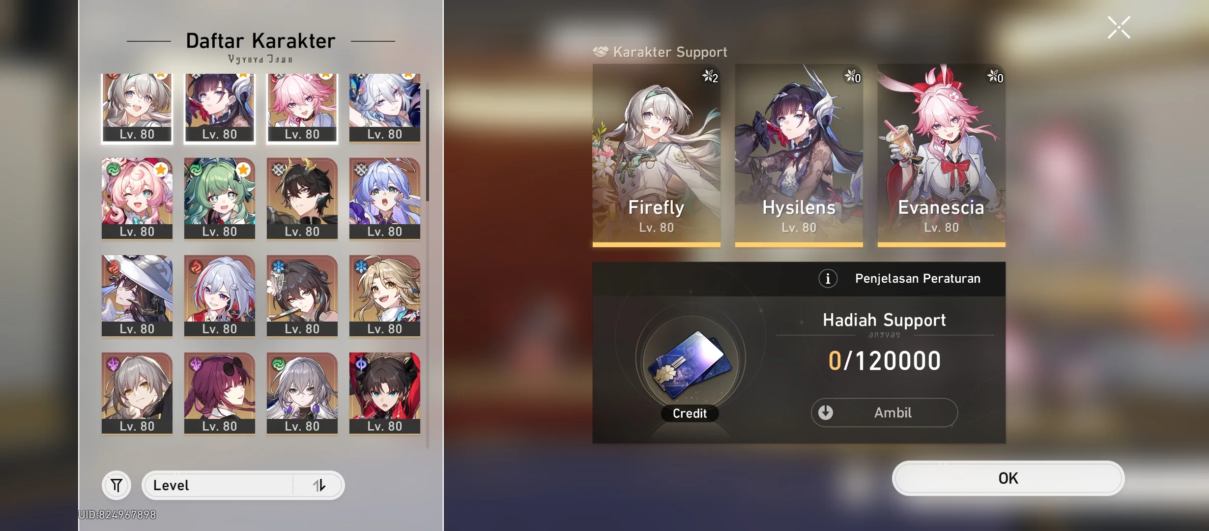 Hsr E2 Firefly Sign+Outfit