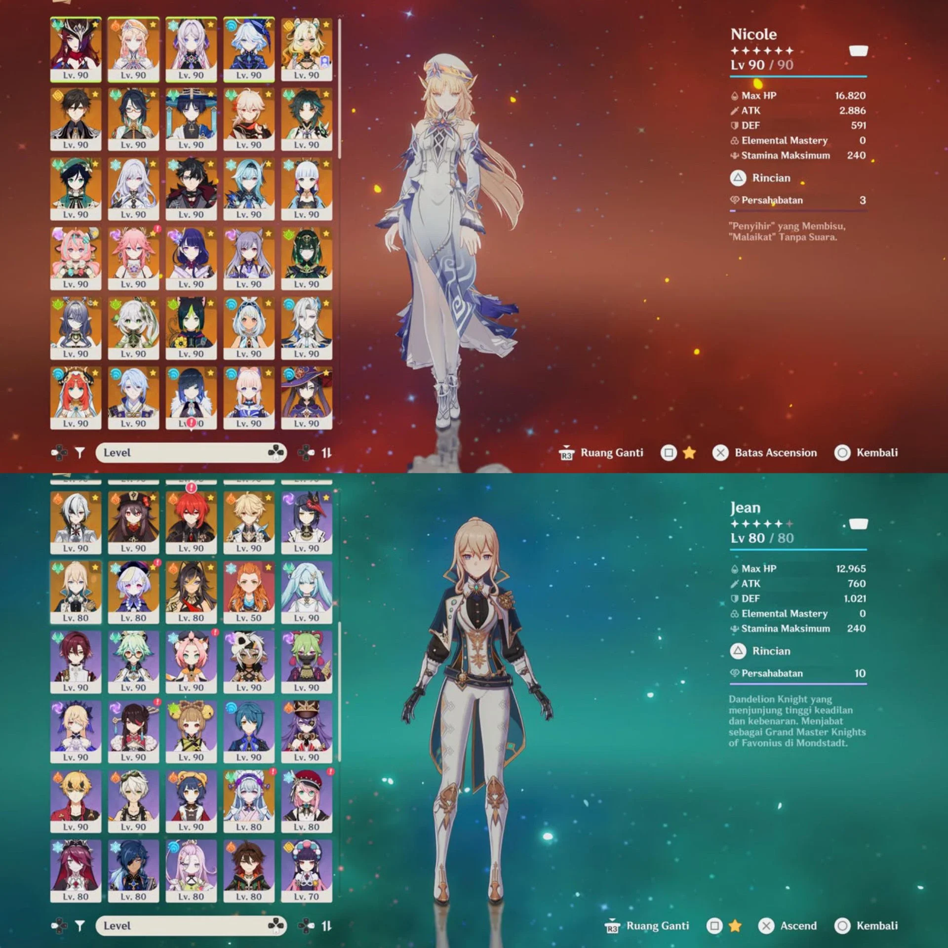 NEFER PREMIUM TEAM 30+ LIMITED CHAR
