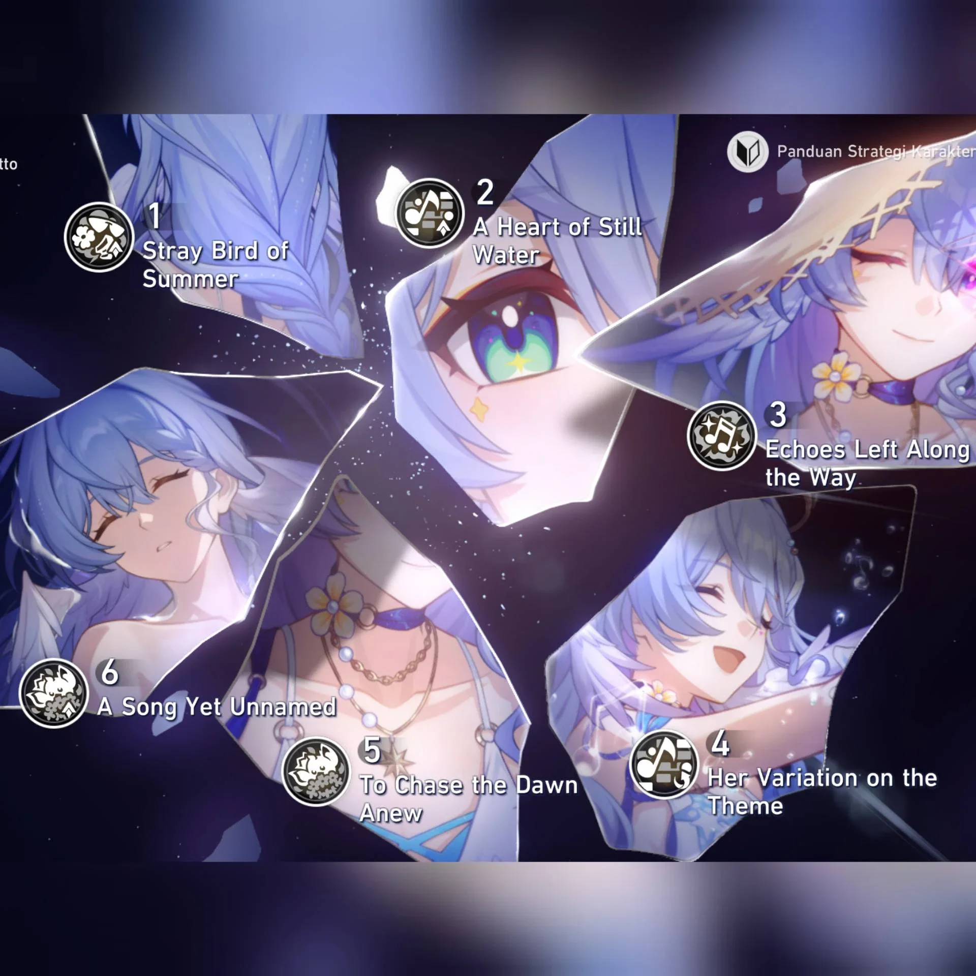 E6S0 ROBIN SUMMER