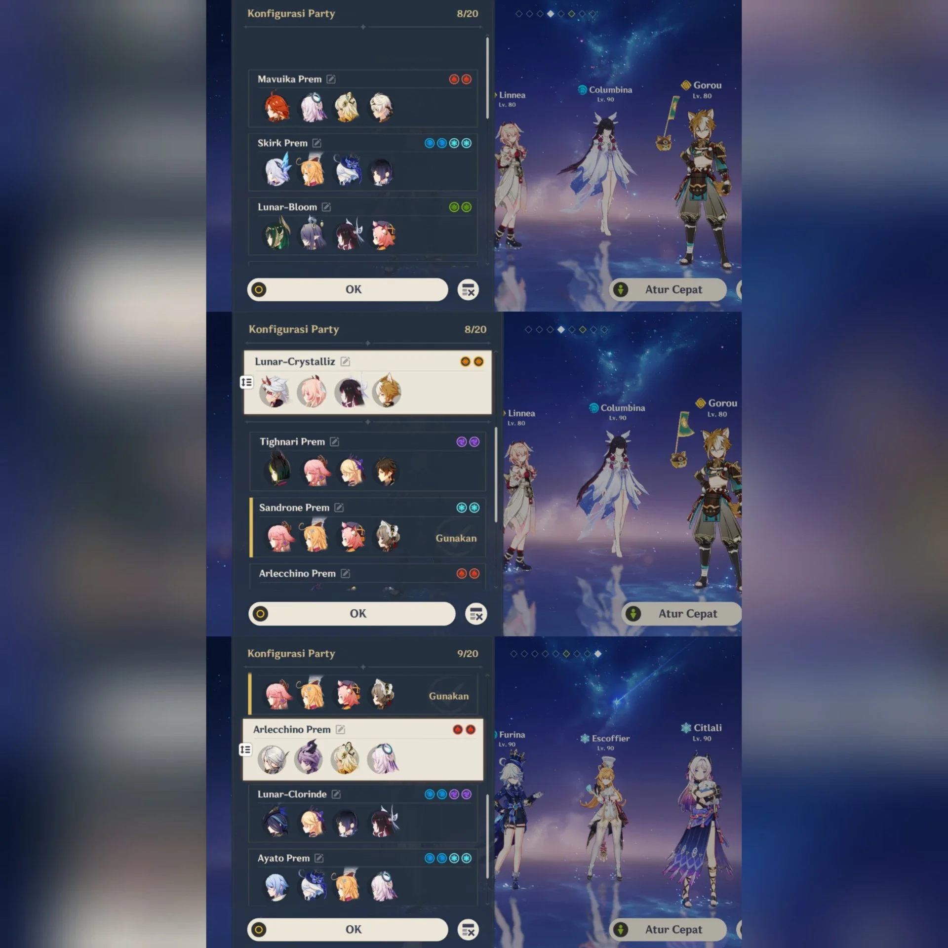 GI + HSR FULL META PREM (STELLAR, LUNAR, MAVUI, SKIRK, ELATION, CASTO, THEHERTA, PHAINON, DLL)